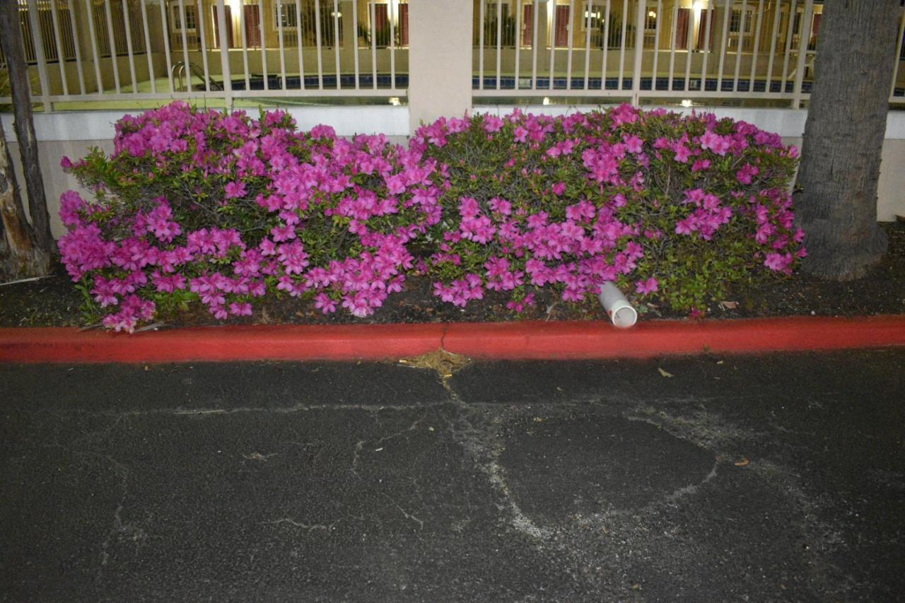 Days Inn By Wyndham Nacogdoches/Sfa University/Downtown Dış mekan fotoğraf